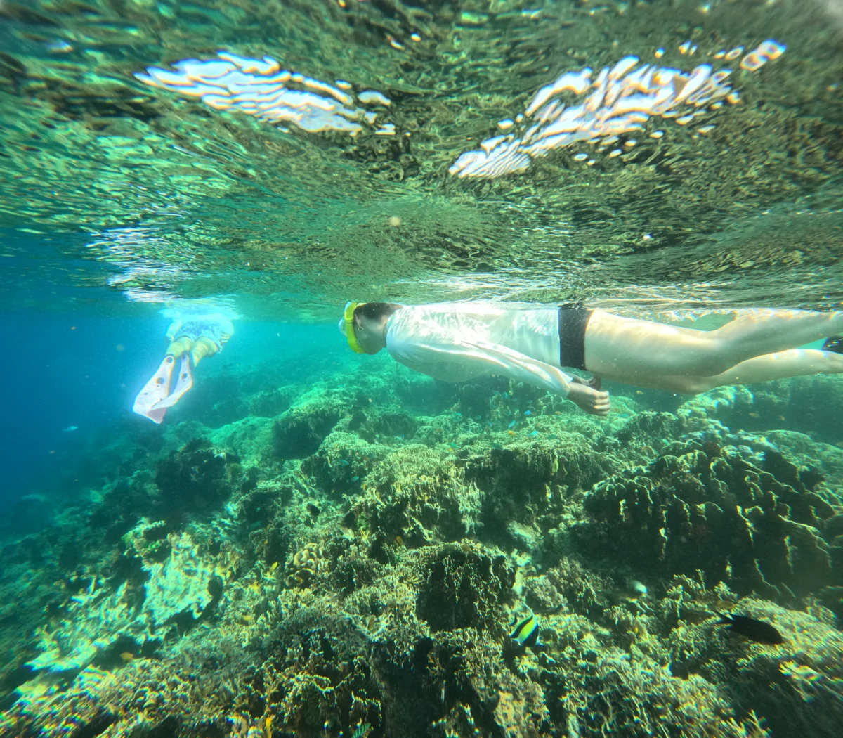 Islands Hopping to Gili Nanggu Tangkong Sudak and Gili Kedis